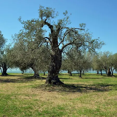 Antica Di Bruto Maison d'hôtes 4*